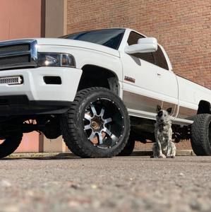 Meet your Posher, Tanner